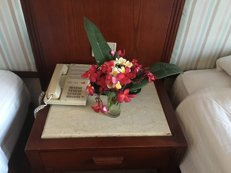 Zimmer Pharaoh Azur Resort