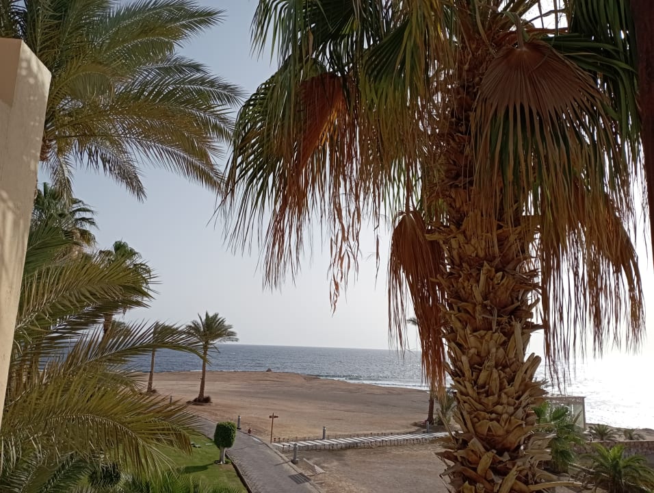 Ausblick Steigenberger Coraya Beach - Adults only