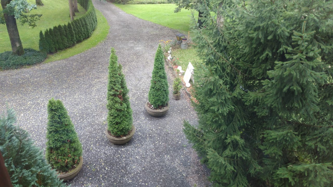 Gartenanlage Pension Heilbad Burgwies