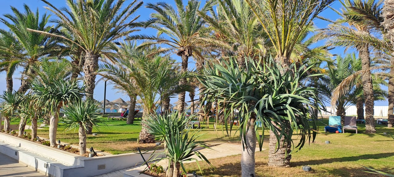 Gartenanlage Hotel Rosa Beach