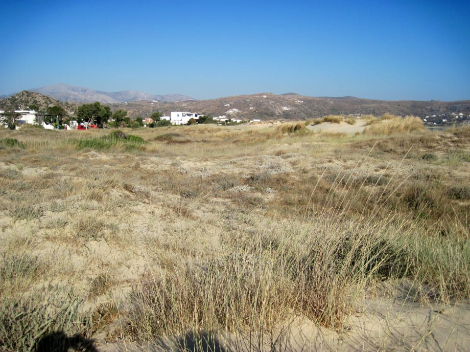 Dünen auf dem Weg zum Strand Nikos Maria Studios