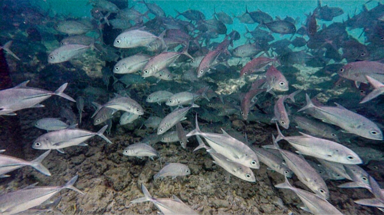 Sport & Freizeit Dreamland The Unique Sea & Lake Resort / Spa