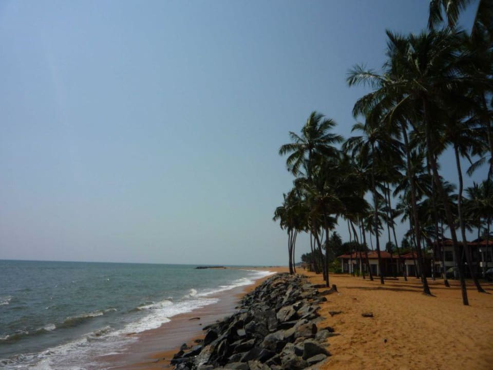 Meer Club Hotel Dolphin