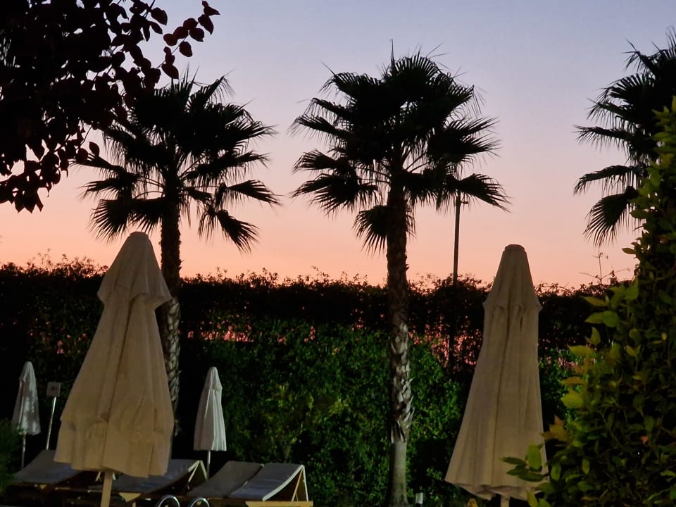 Gartenanlage Dream World Aqua Hotel