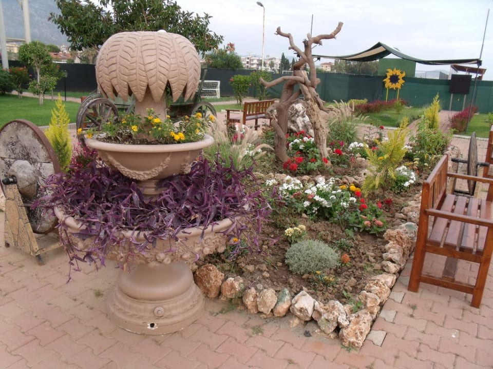 Garten  Senza Sunset Beach Hotel