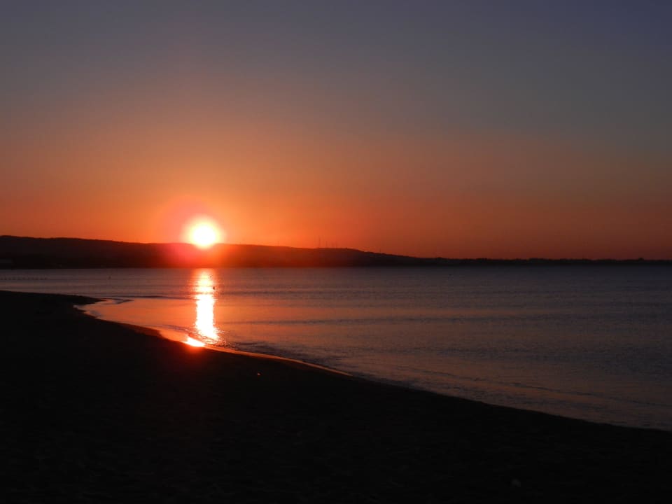 Schön oder ? AQI Venus Beach