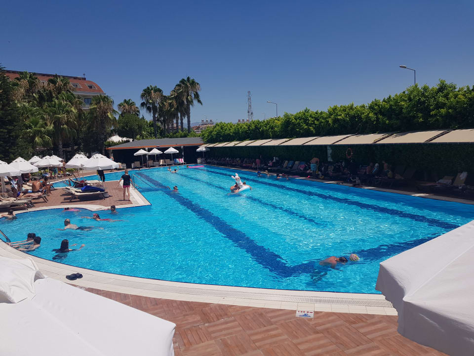 Pool Hane Family Resort