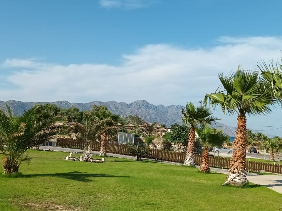 Gartenanlage Grand Blue Beach Hotel