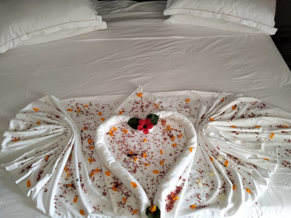 Zimmer Oceana Hotel & Spa