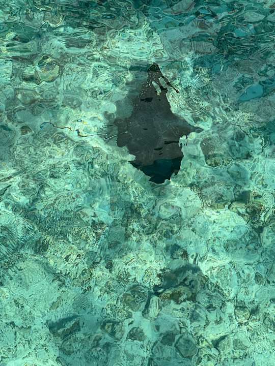 Strand Centara Ras Fushi Resort & Spa Maldives