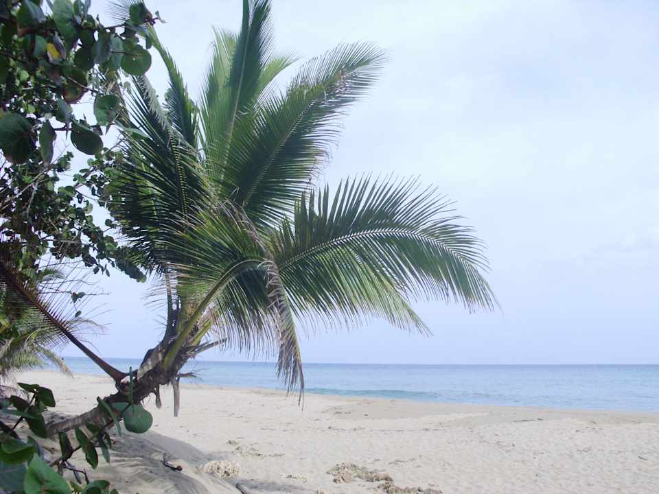 Strand der Anlage Das kleine Paradies Apartments