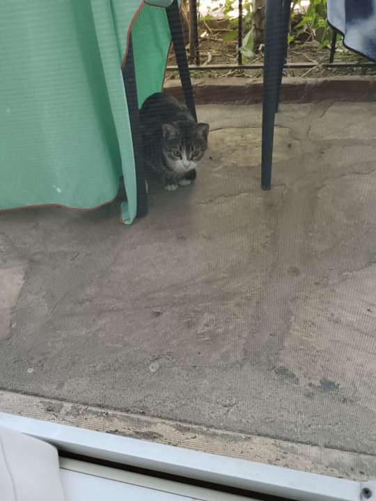 Zimmer Sun City Apartments