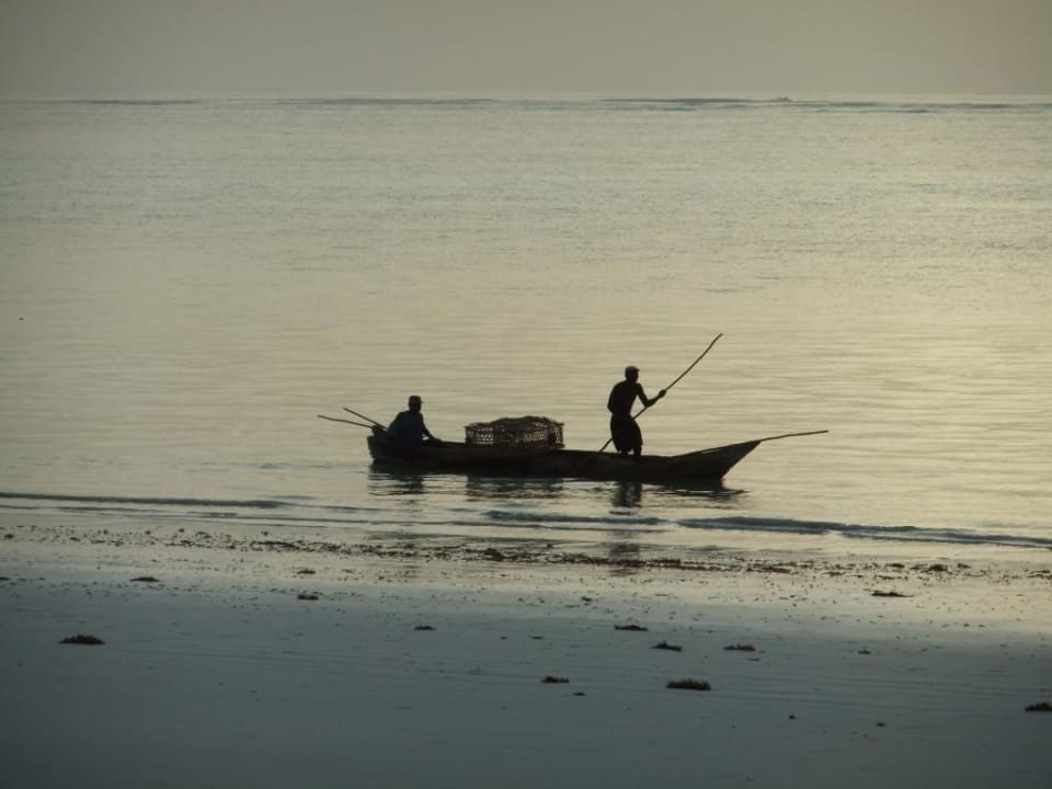 Fischer am Morgen Neptune Village Beach Resort & Spa
