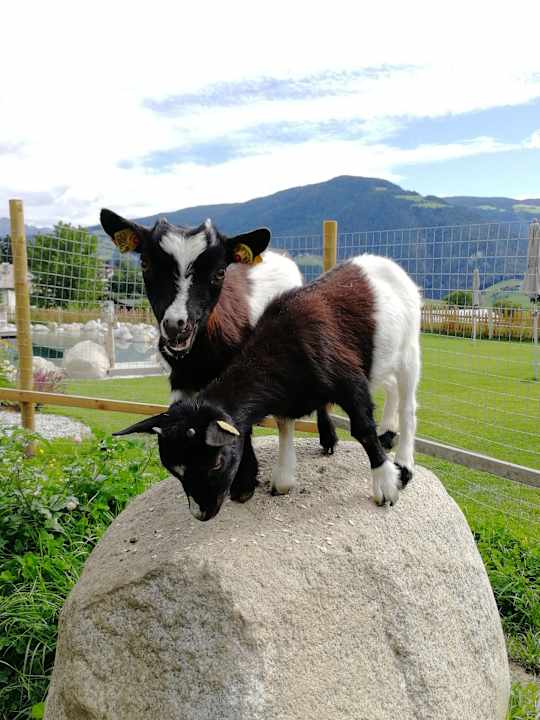 Gartenanlage Huberhof Natz-Schabs