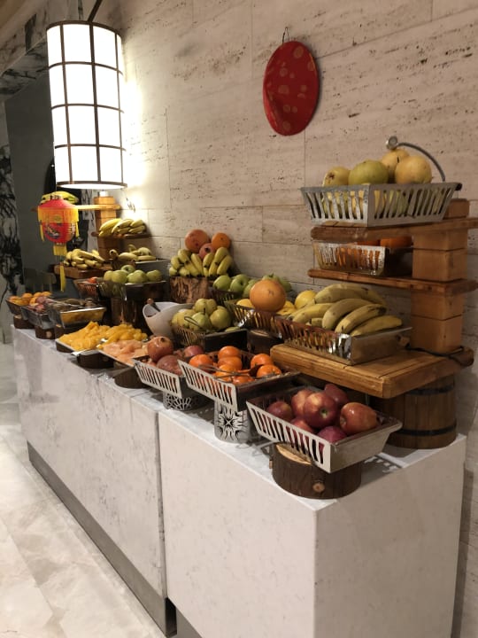 Gastro Acanthus Cennet Barut Collection