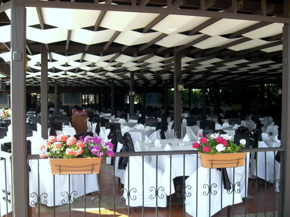 Türkischer Abend. Hotel Turan Prince