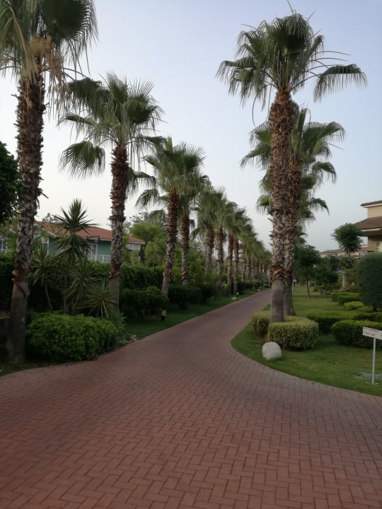 Gartenanlage Sunis Elita Beach Resort & Spa