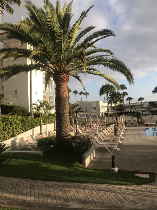 Gartenanlage Hotel Riu Arecas - Adults only