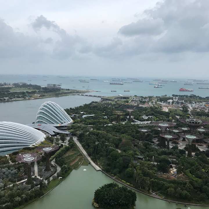 Blick aus unserem Zimmer auf die Gardens by the Bay Marina Bay Sands