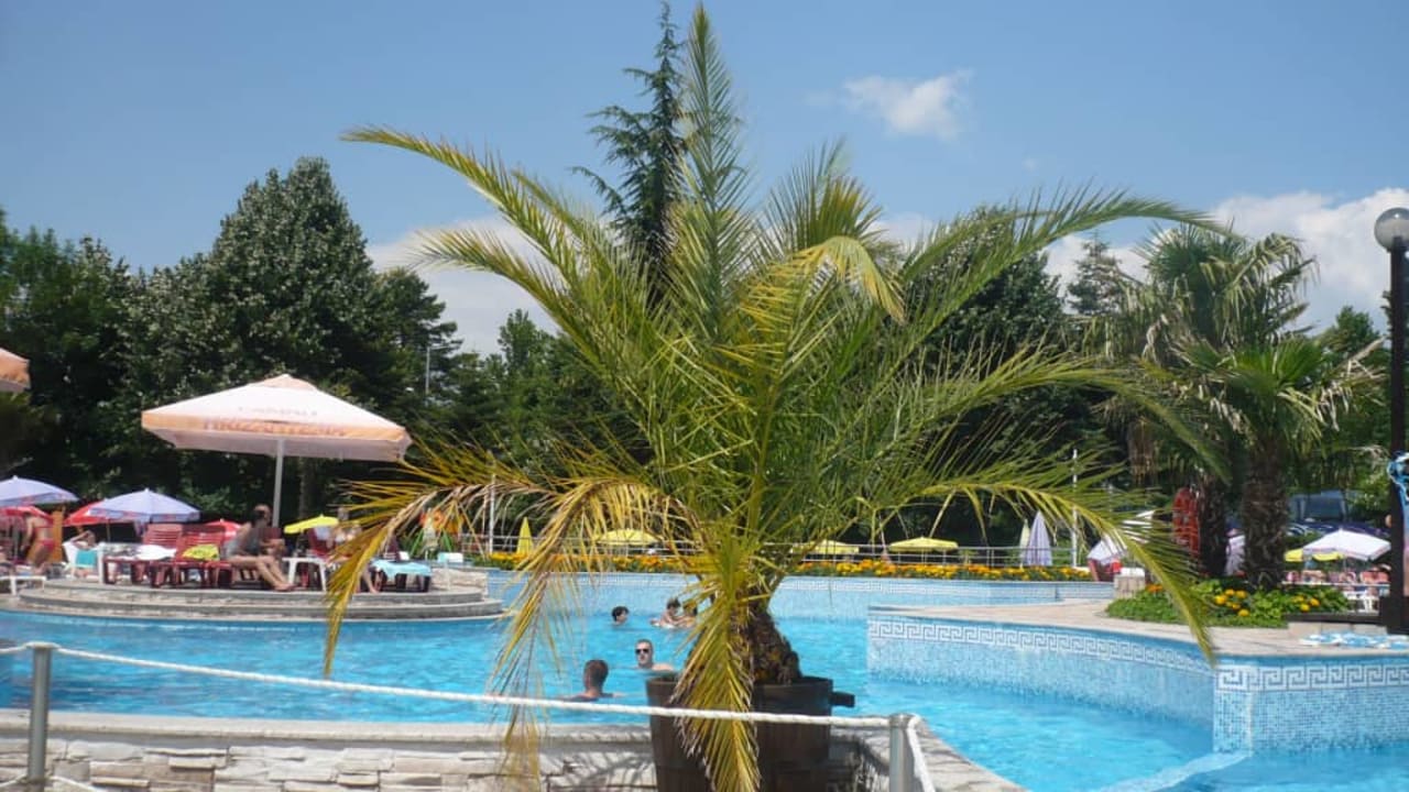 Basen Hotel Hrizantema