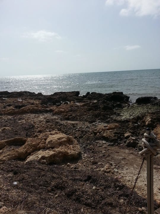 Strandabschnitt ohne Liegen Hotel El Mouradi Djerba Menzel