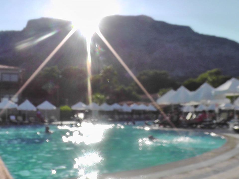 Pool Crystal Flora Pearl Collection