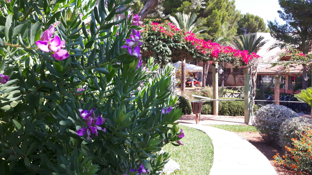 Gartenanlage Green Garden Aparthotel