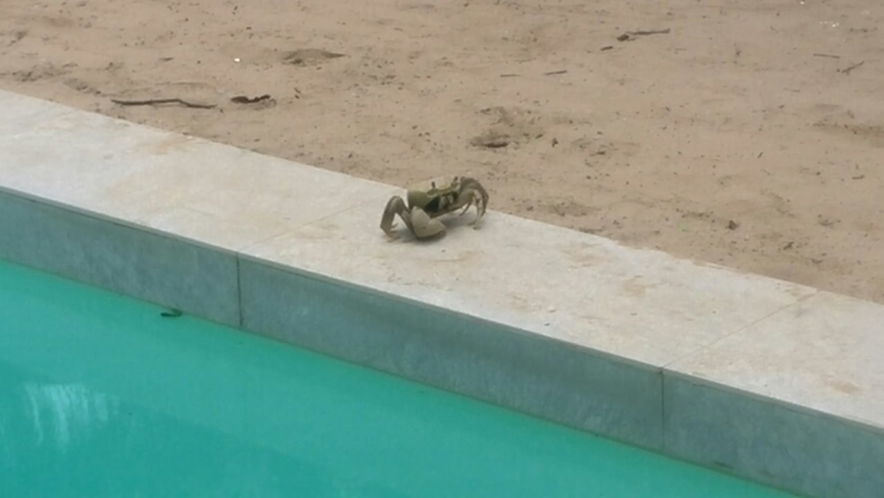 Zimmer TUI BLUE Tamala