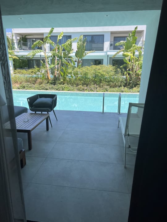 Zimmer Paloma Finesse