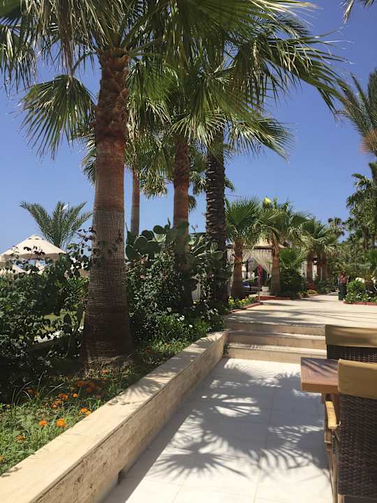 Gartenanlage Saphir Resort & Spa