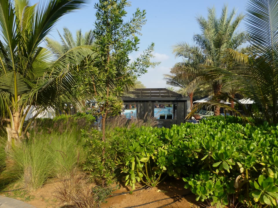 Gartenanlage DoubleTree by Hilton Resort & Spa Marjan Island
