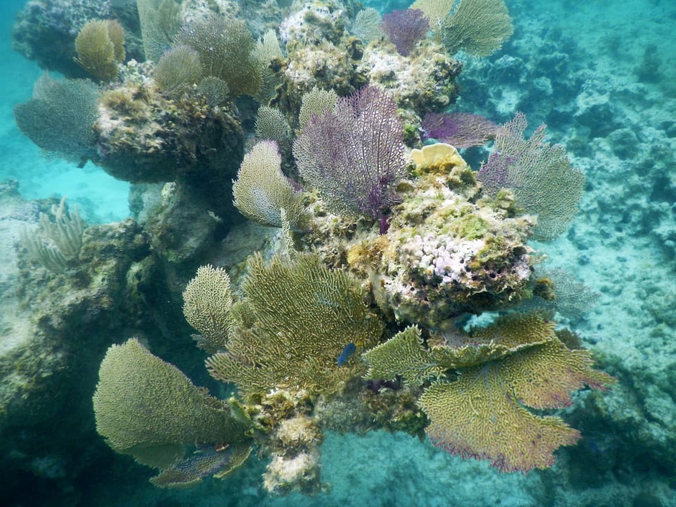 Sport & Freizeit Brisas Guardalavaca Hotel & Villas