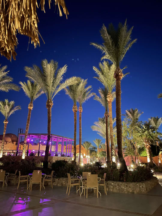 Ausblick Jaz Makadi Oasis Resort