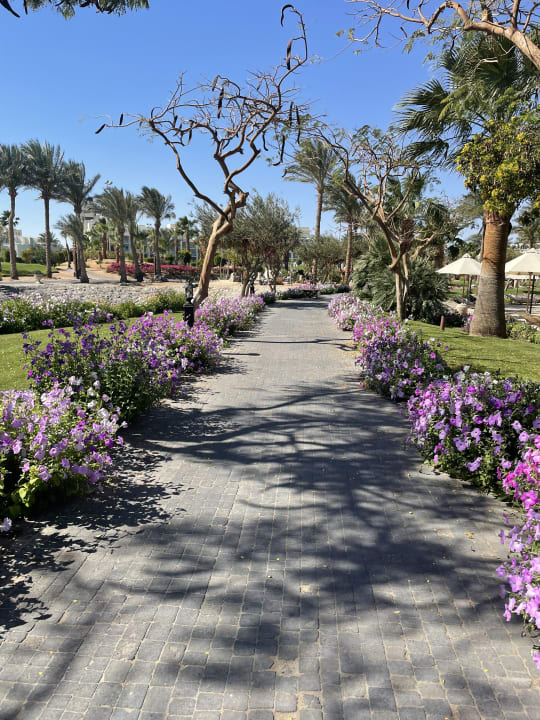 Gartenanlage Steigenberger ALDAU Beach Hotel