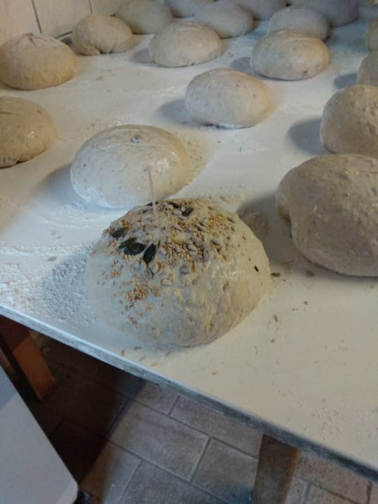 Sonstiges Bauernhof Bernhardenhof