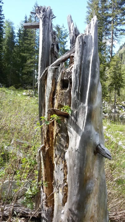 Das sieht man beim Wandern !!! Pension Fürhapter Bio- Bauernhof