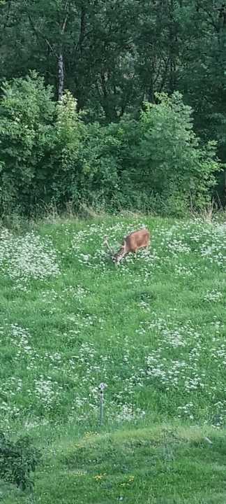 Ausblick Naturnah Kauns