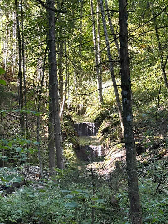 Gartenanlage Kempinski Hotel Berchtesgaden