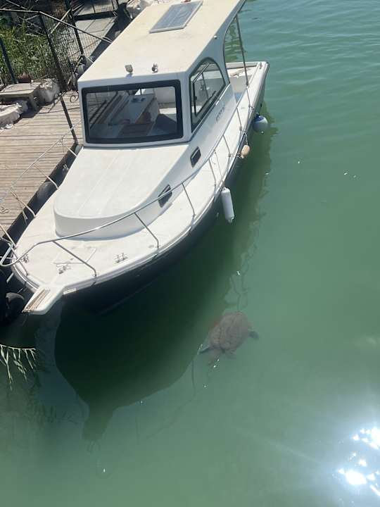 Sonstiges Side Story Resort & Spa