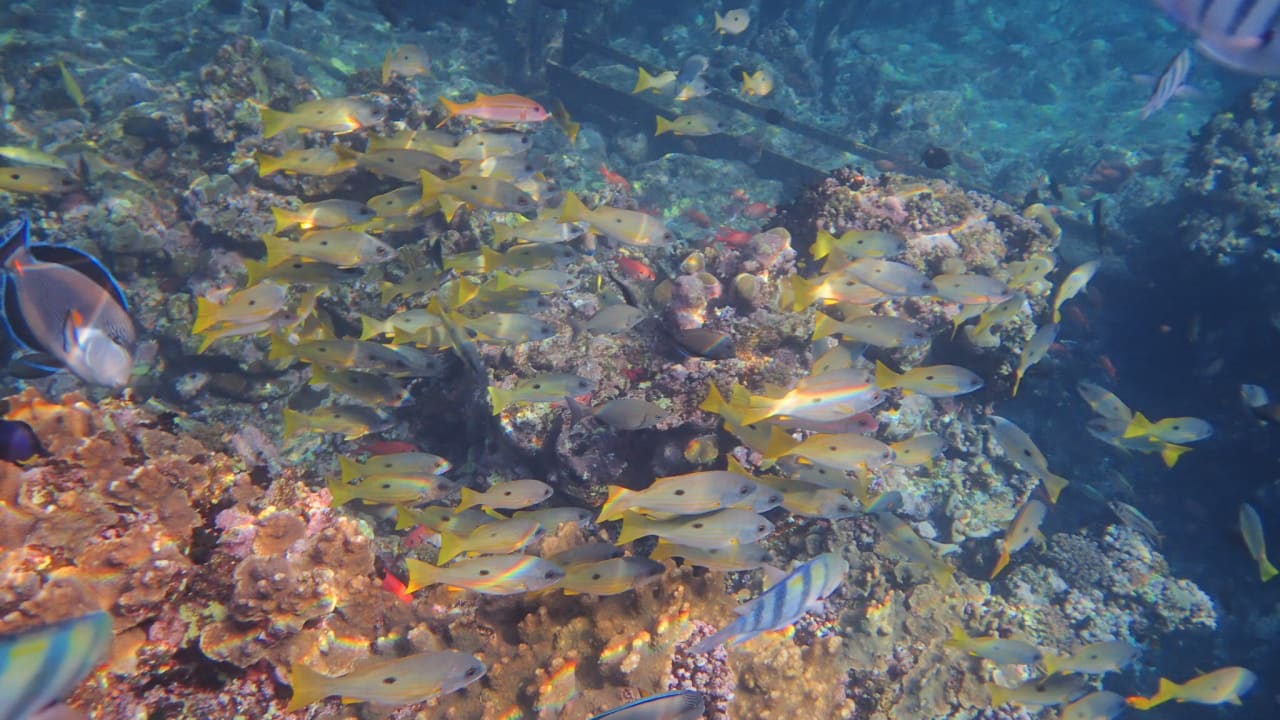 Strand Casa Mare Resort