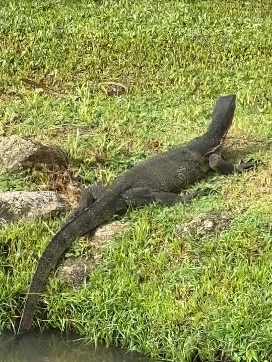 Gartenanlage Khaolak Laguna Resort