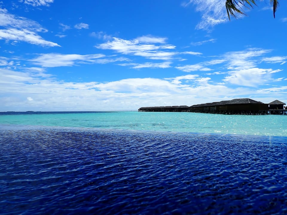 Pool Vilamendhoo Island Resort & Spa