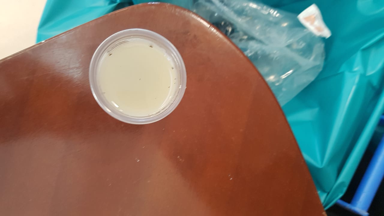 Gastro BV Borgo del Principe