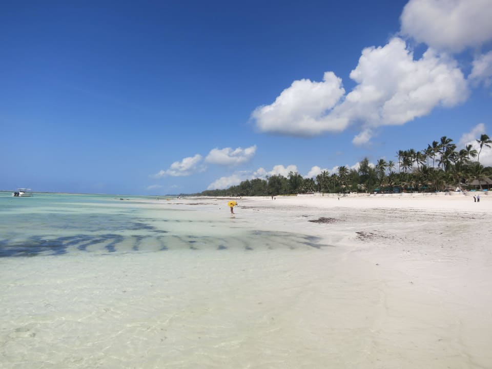 Strand Diani Sea Resort