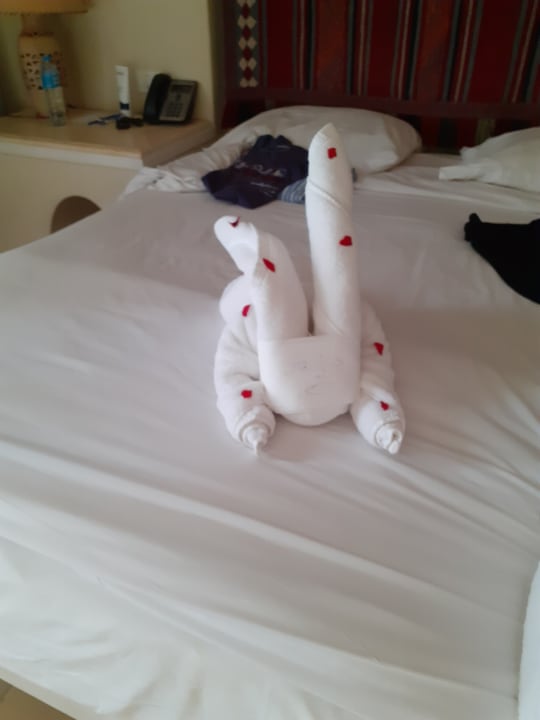 Zimmer Pickalbatros Palace Hotel-Port Ghalib