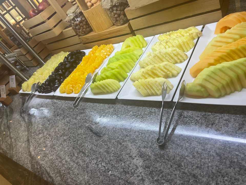 Gastro JAZ Elite Amara