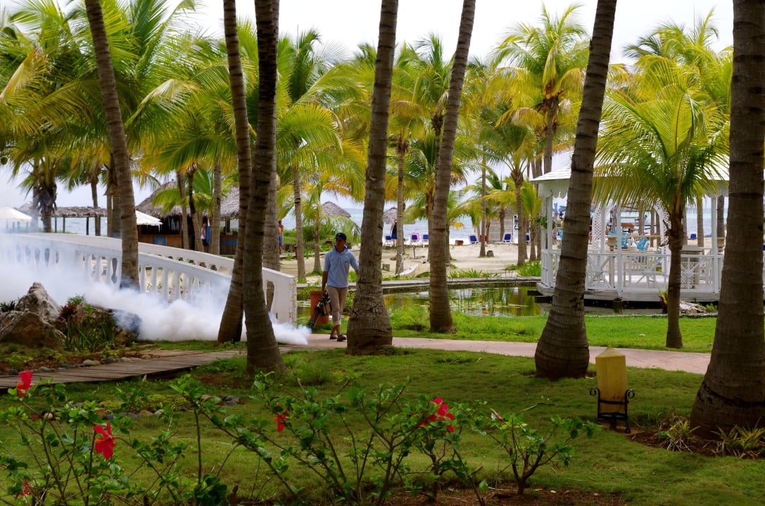 View Hotel Camino del Mar Cayo Guillermo