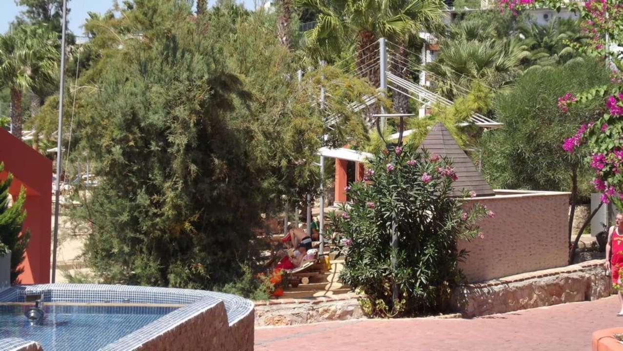 Gartenanlage TUI MAGIC LIFE Bodrum - Adult Only (16+)
