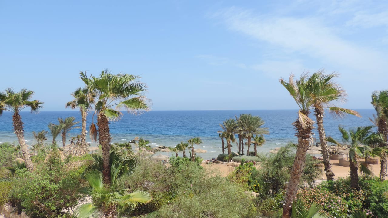 Meerblick Pickalbatros Citadel Resort