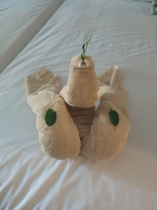 Sonstiges Jaz Dar EL Madina